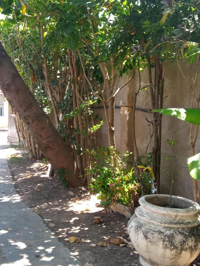 Pousada Marazul Maceió Extérieur photo